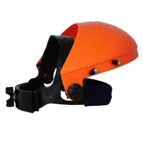 Browguard Visor