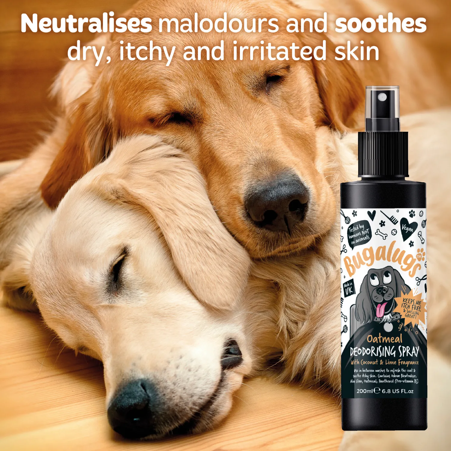 Oatmeal Dog Deodorising Spray with Coconut & Lime Fragrance