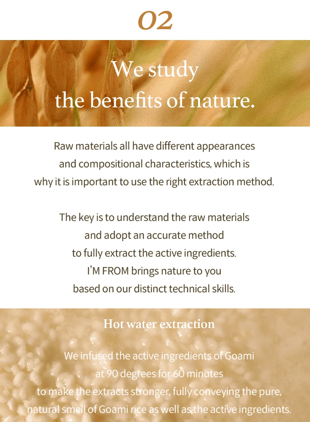 Rice Sunscreen (50 ml)