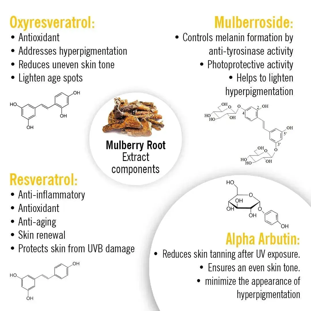 Skin Lightening Face Serum, Daisy Flower   Alpha Arbutin   Mulberry Root, Brightening & Glowing, Hyperpigmentation, Melanogenesis, with Hyaluronic Acid