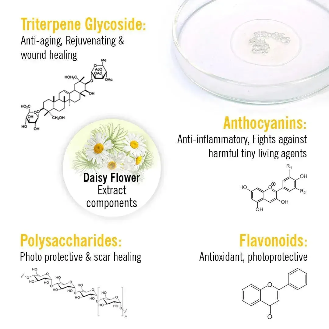 Skin Lightening Face Serum, Daisy Flower   Alpha Arbutin   Mulberry Root, Brightening & Glowing, Hyperpigmentation, Melanogenesis, with Hyaluronic Acid