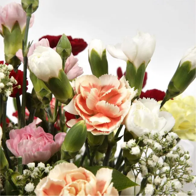 Splendor Bouquet